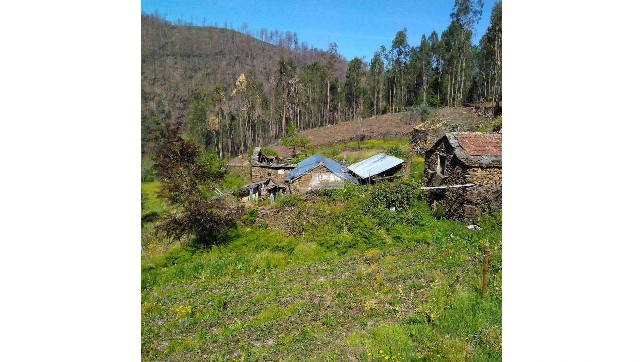 Terreno para Venda em Tropeço Foto 123