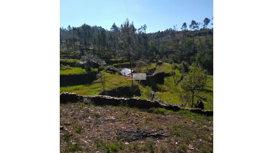 Terreno para Venda em Tropeço Foto 76