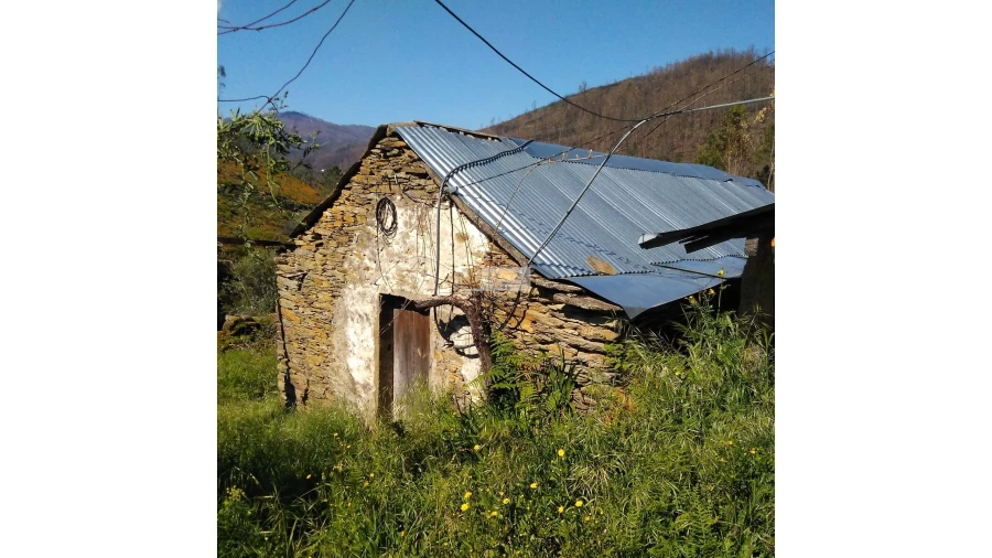 Terreno para Venda em Tropeço Foto 102