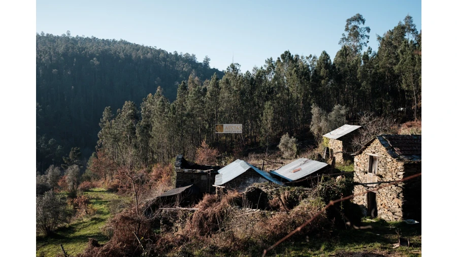 Terreno para Venda em Tropeço Foto 12