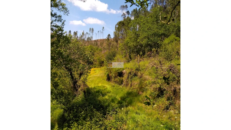 Terreno para Venda em Tropeço Foto 142