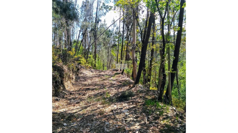 Terreno para Venda em Tropeço Foto 137
