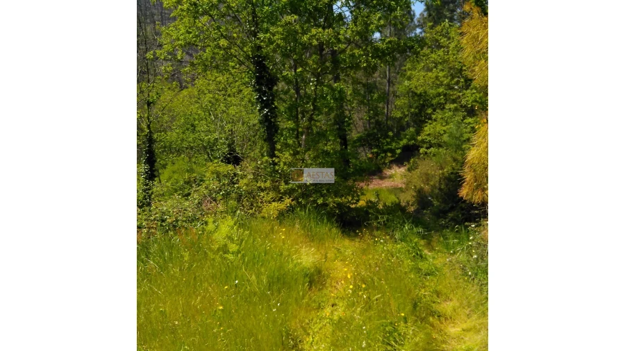 Terreno para Venda em Tropeço Foto 147