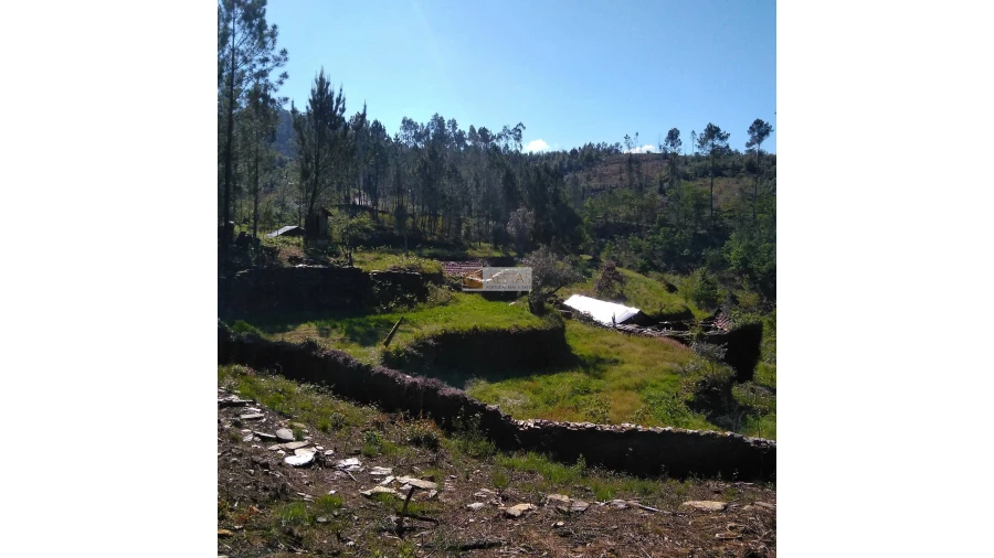 Terreno para Venda em Tropeço Foto 73