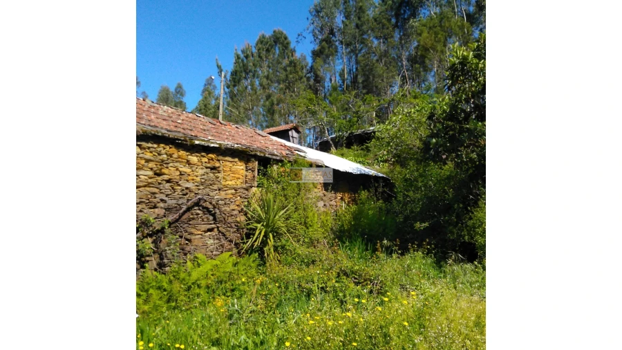 Terreno para Venda em Tropeço Foto 103