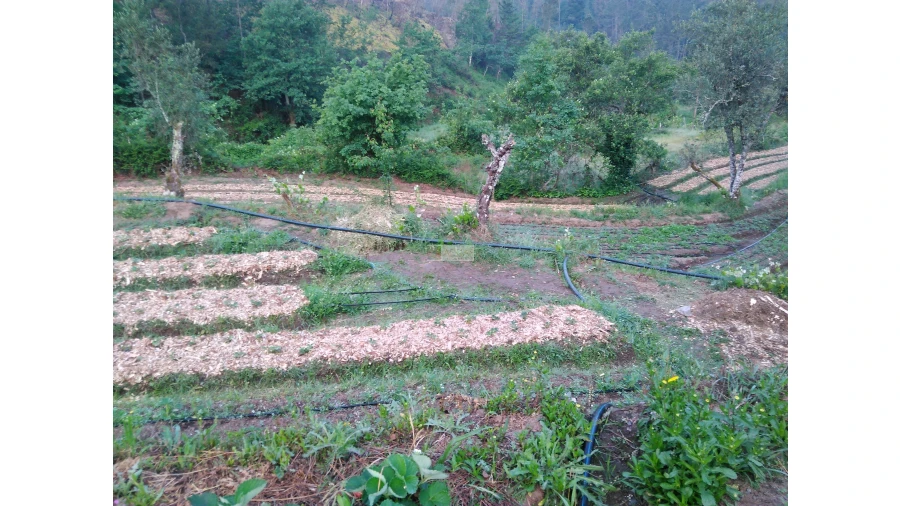 Terreno para Venda em Tropeço Foto 48