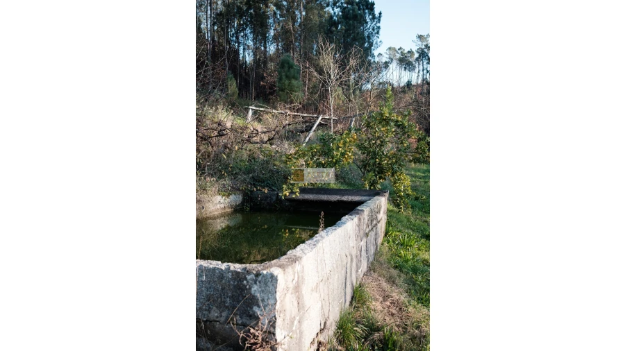 Terreno para Venda em Tropeço Foto 17