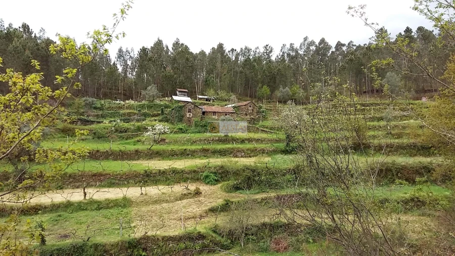 Terreno para Venda em Tropeço Foto 27