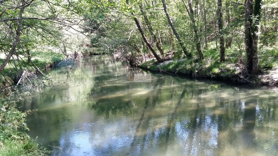 Terreno para Venda em Tropeço Foto 31