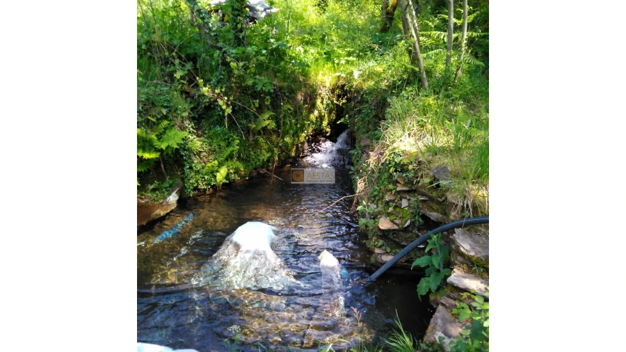 Terreno para Venda em Tropeço Foto 141