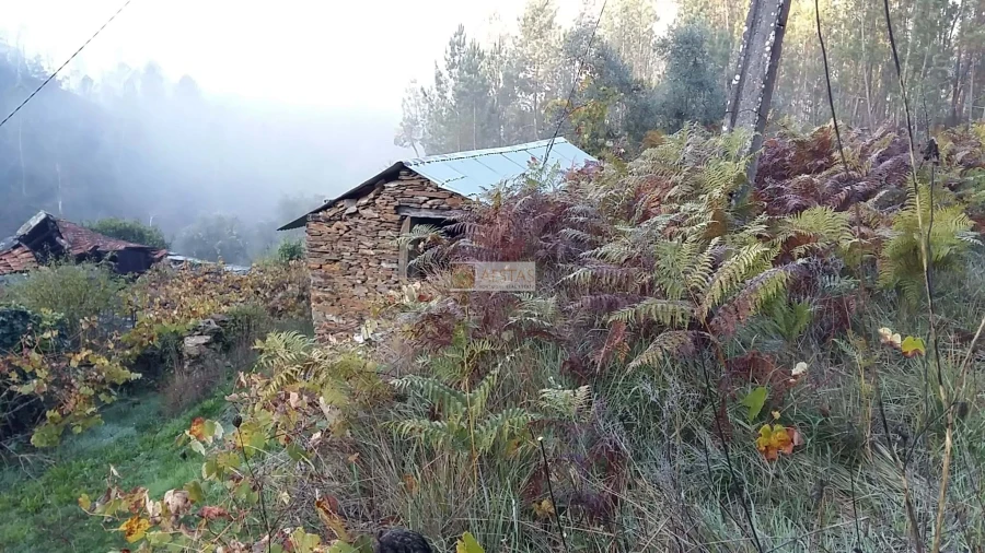 Terreno para Venda em Tropeço Foto 42