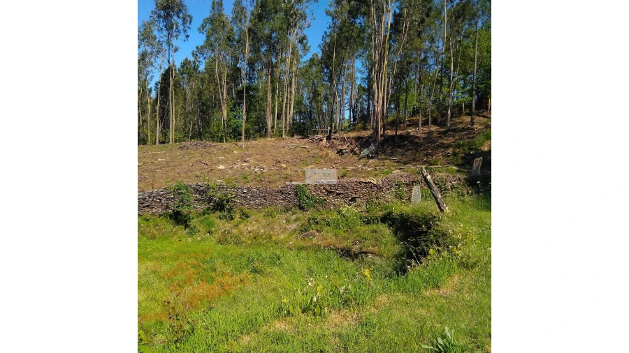 Terreno para Venda em Tropeço Foto 96