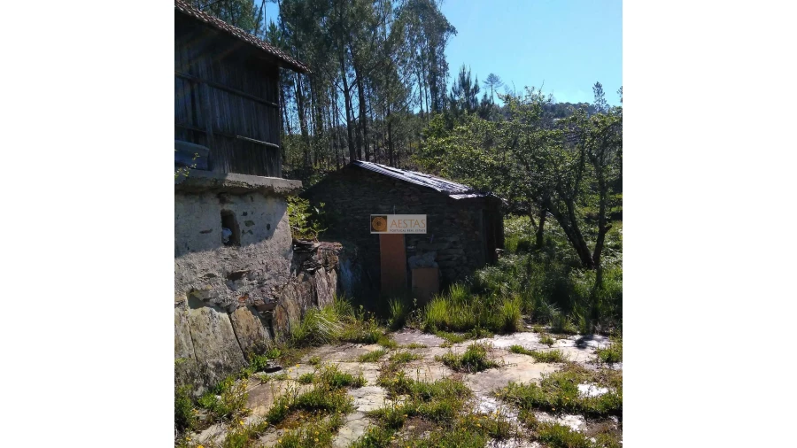 Terreno para Venda em Tropeço Foto 83