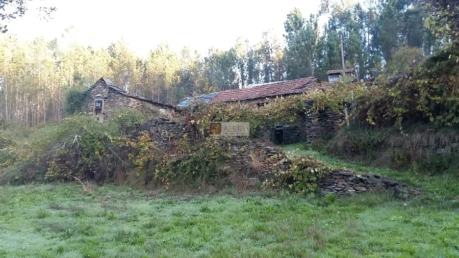 Terreno para Venda em Tropeço Foto 44