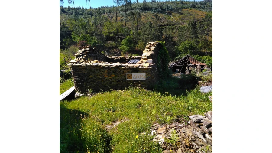 Terreno para Venda em Tropeço Foto 95