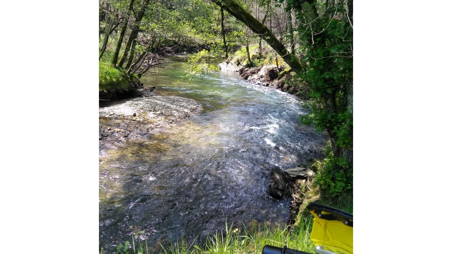 Terreno para Venda em Tropeço Foto 134