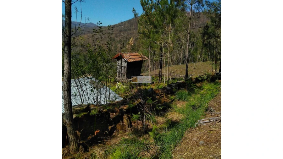 Terreno para Venda em Tropeço Foto 94