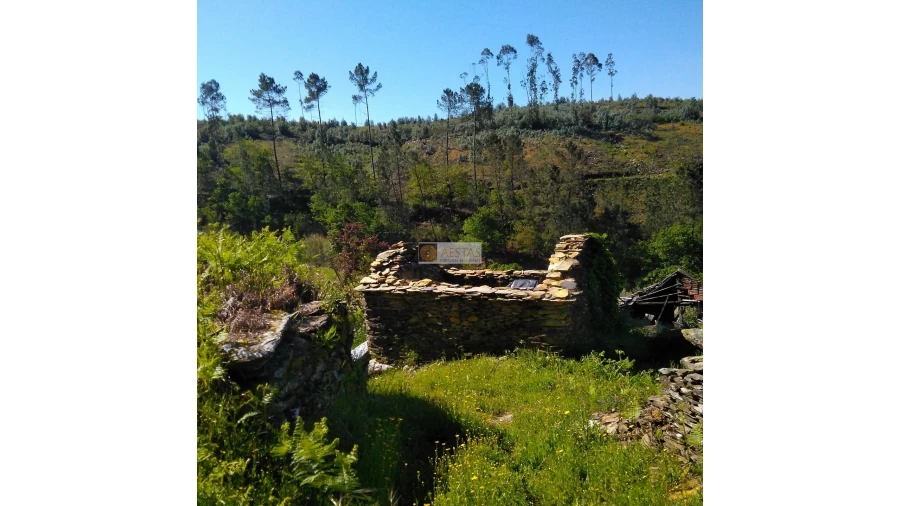 Terreno para Venda em Tropeço Foto 82