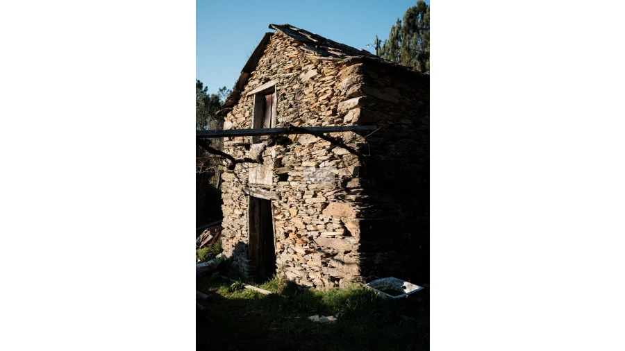 Terreno para Venda em Tropeço Foto 15