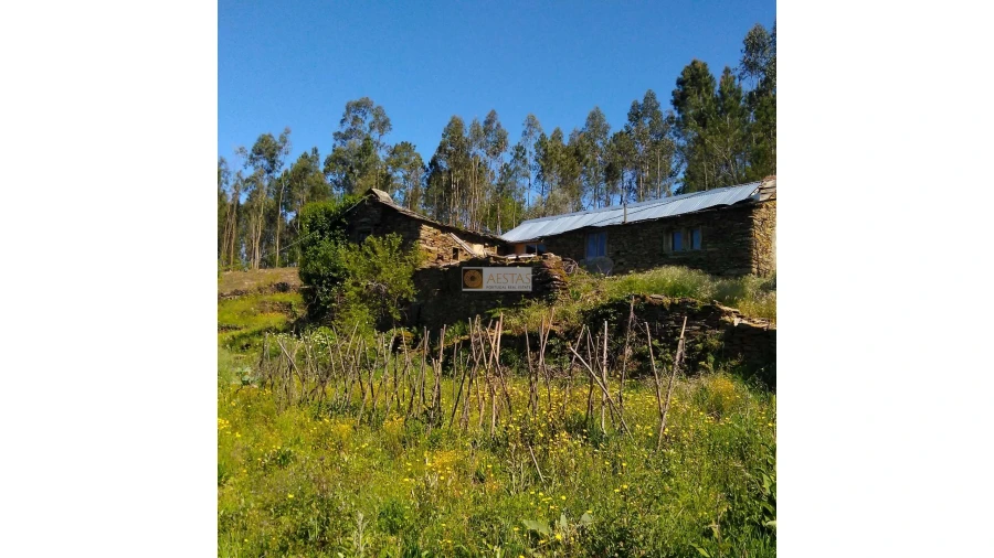 Terreno para Venda em Tropeço Foto 119