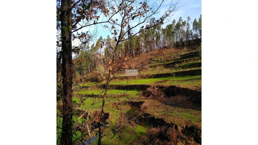 Terreno para Venda em Tropeço Foto 67