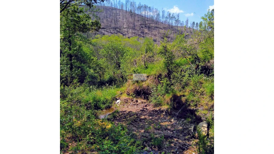 Terreno para Venda em Tropeço Foto 140