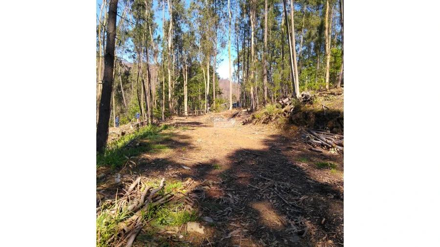 Terreno para Venda em Tropeço Foto 79