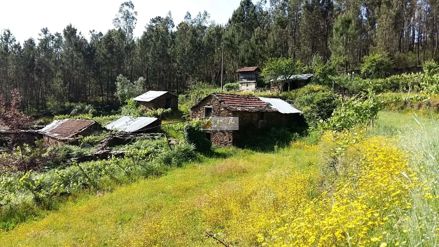 Terreno para Venda em Tropeço Foto 35