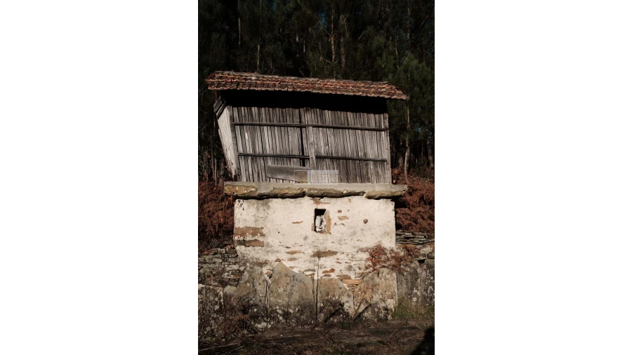 Terreno para Venda em Tropeço Foto 7