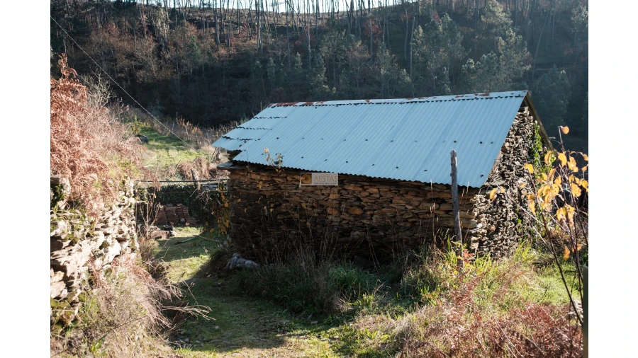 Terreno para Venda em Tropeço Foto 8