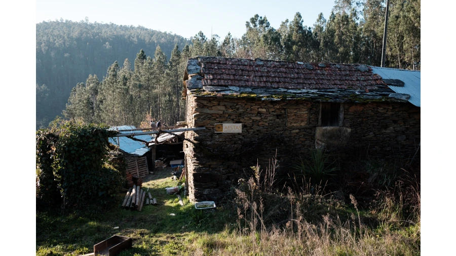 Terreno para Venda em Tropeço Foto 14