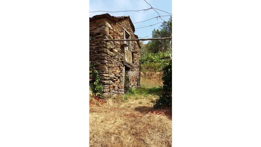 Terreno para Venda em Tropeço Foto 37