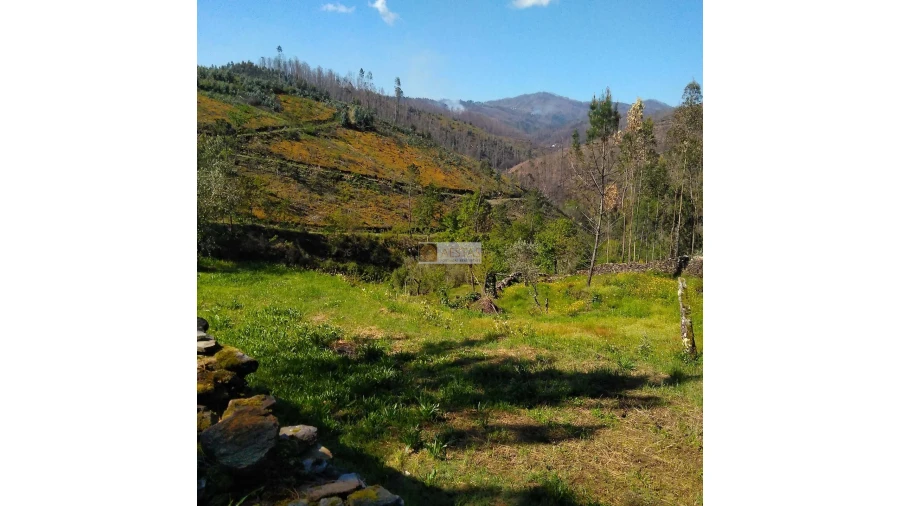 Terreno para Venda em Tropeço Foto 80