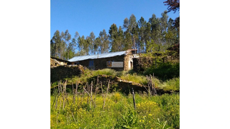 Terreno para Venda em Tropeço Foto 118