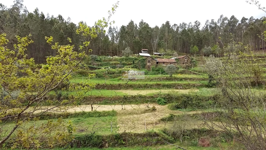 Terreno para Venda em Tropeço Foto 29