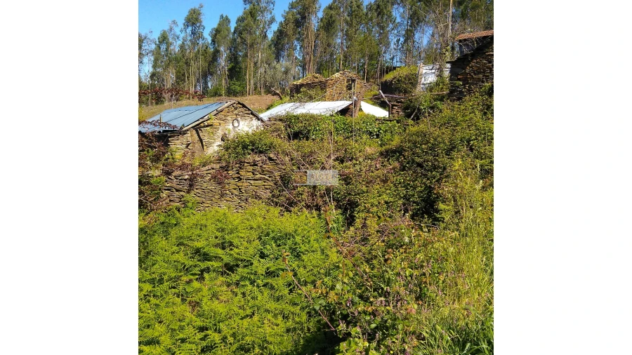 Terreno para Venda em Tropeço Foto 105