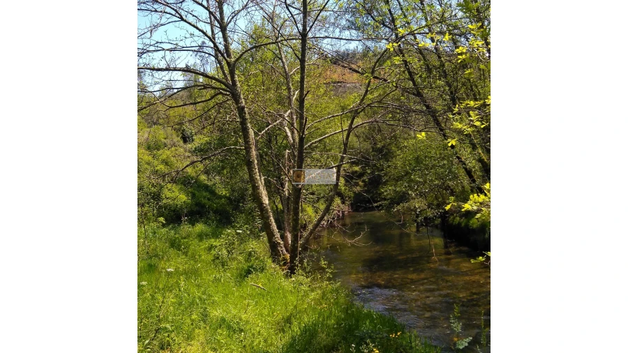 Terreno para Venda em Tropeço Foto 132