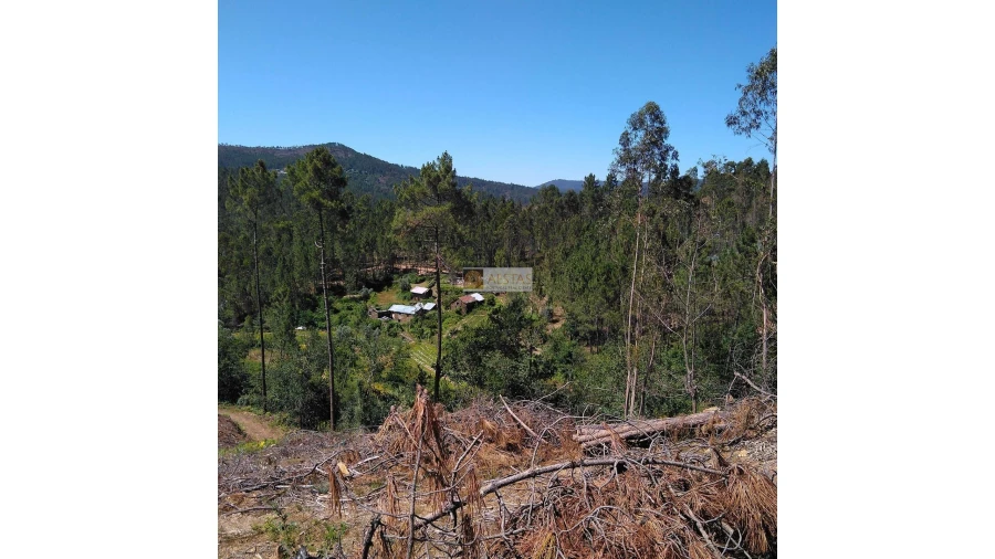 Terreno para Venda em Tropeço Foto 54