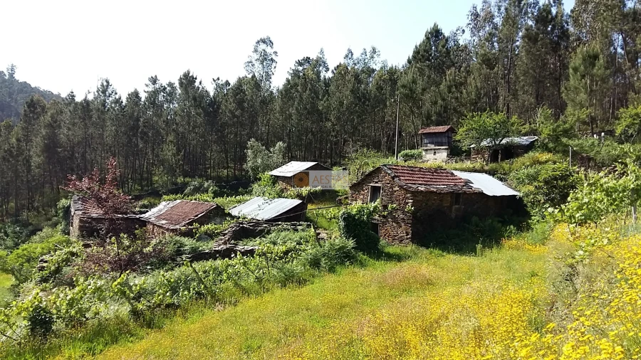 Terreno para Venda em Tropeço Foto 33