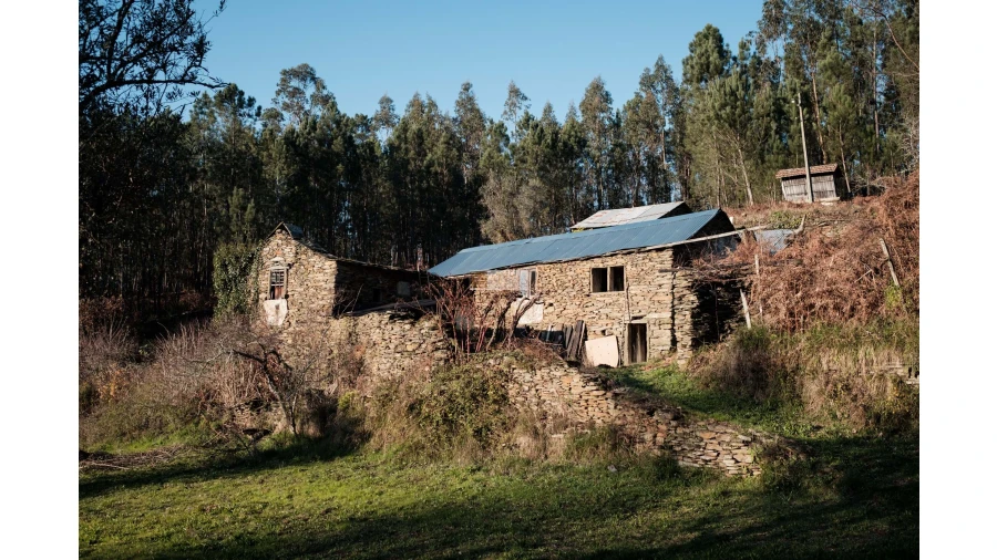 Terreno para Venda em Tropeço Foto 20