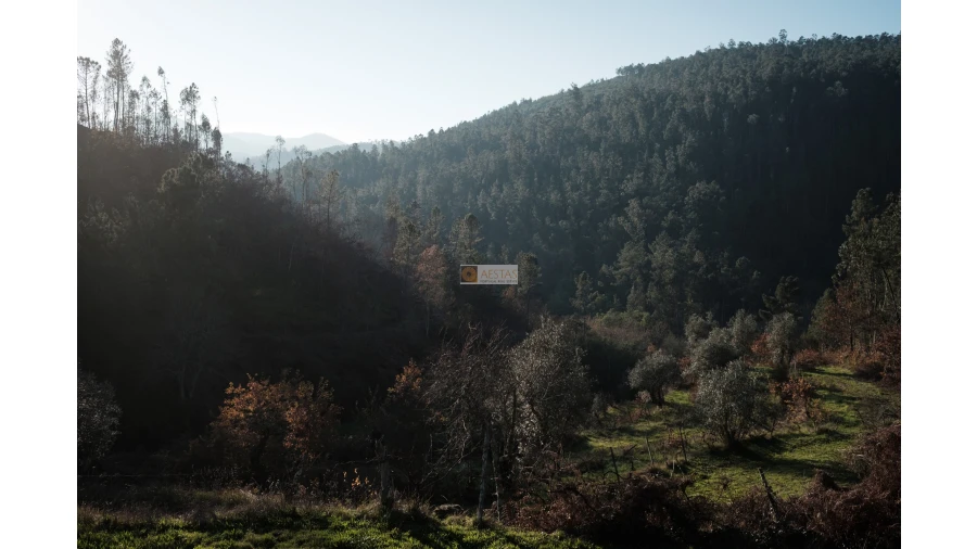 Terreno para Venda em Tropeço Foto 13