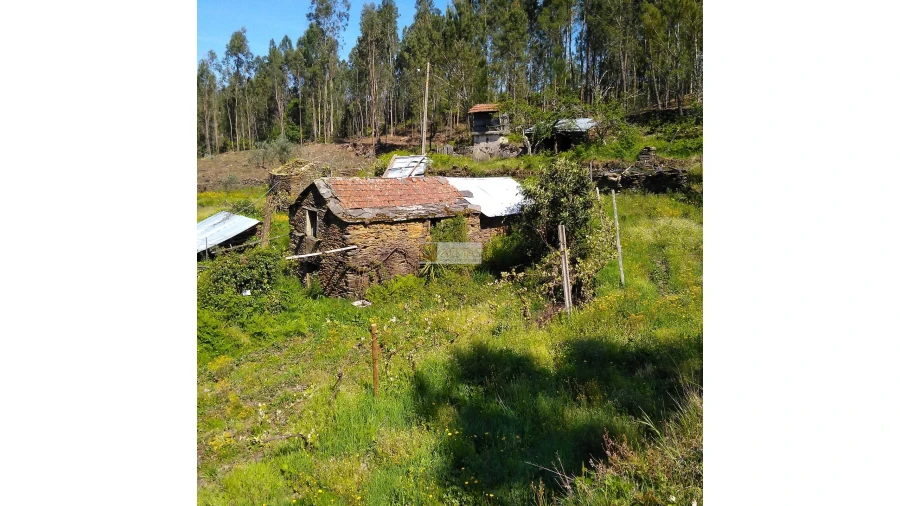 Terreno para Venda em Tropeço Foto 124