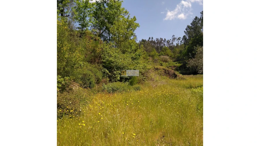 Terreno para Venda em Tropeço Foto 144