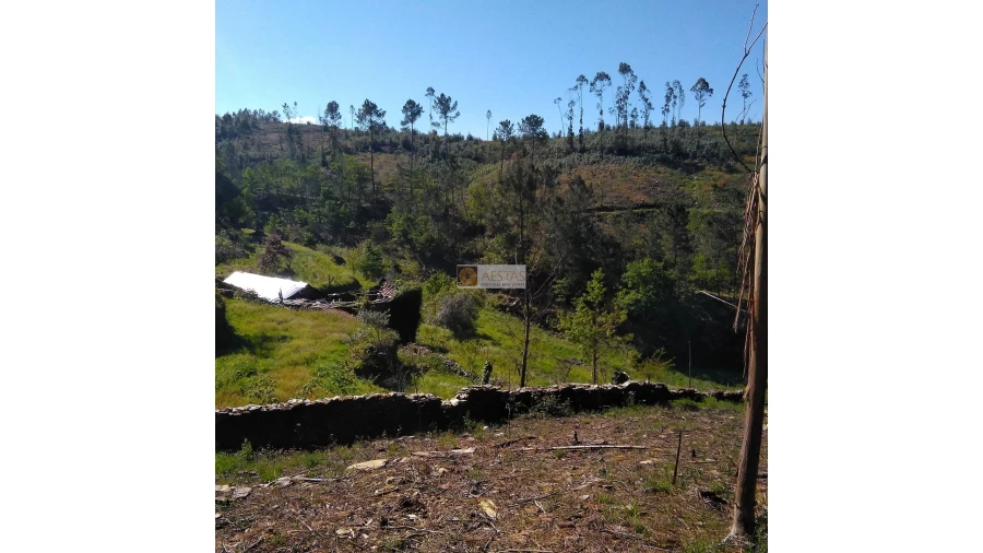 Terreno para Venda em Tropeço Foto 74