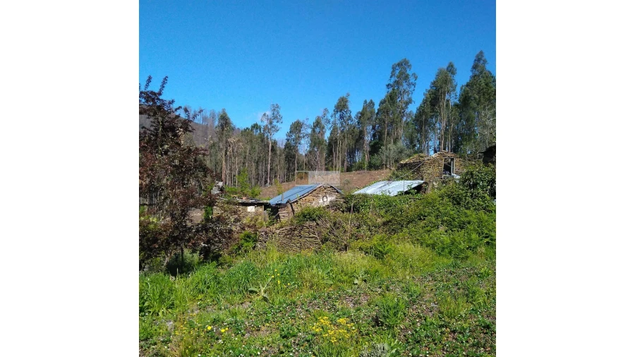 Terreno para Venda em Tropeço Foto 104