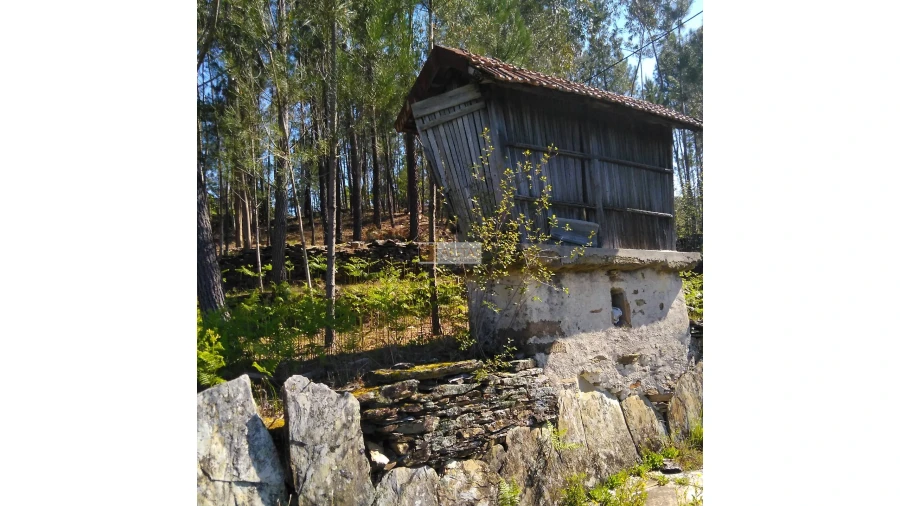 Terreno para Venda em Tropeço Foto 84