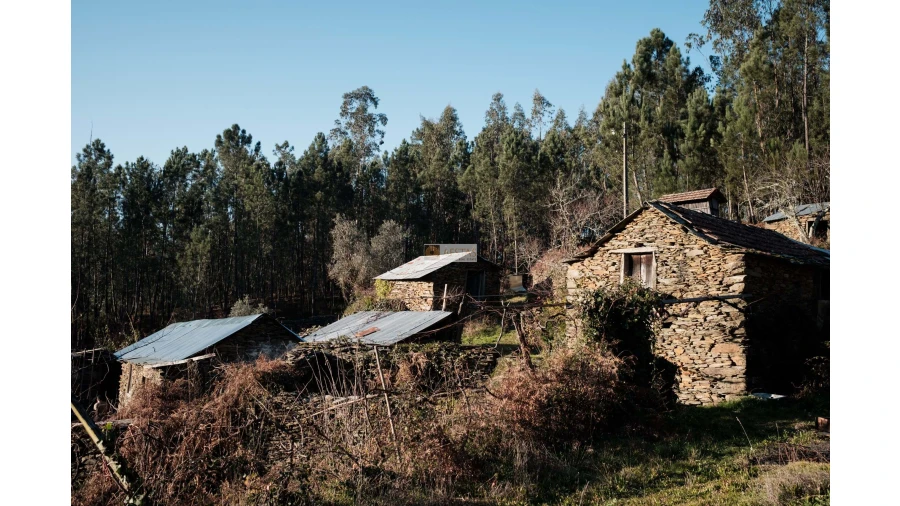 Terreno para Venda em Tropeço Foto 16