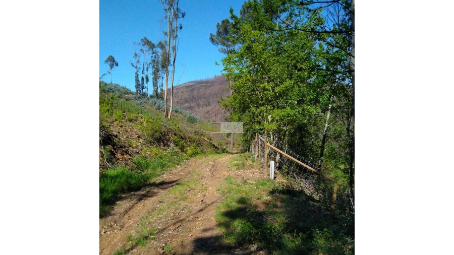 Terreno para Venda em Tropeço Foto 129