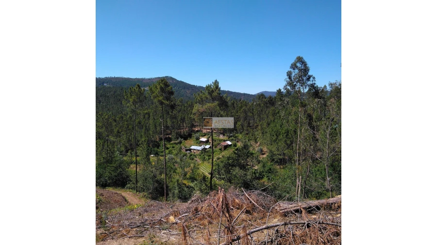 Terreno para Venda em Tropeço Foto 52