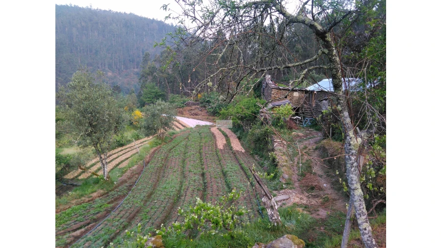 Terreno para Venda em Tropeço Foto 45